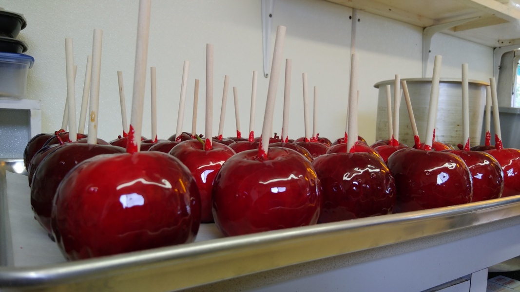 Candy Apples 1.jpg